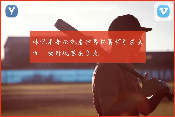 林侃用手机观看世界杯赛程引发关注,场外观赛成焦点