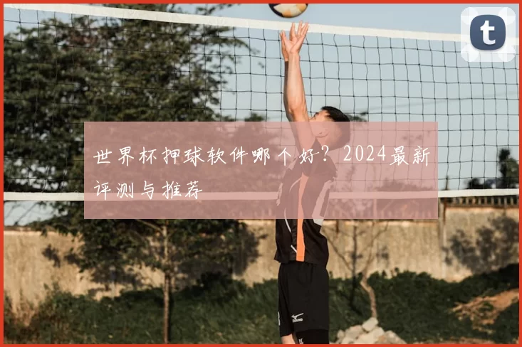世界杯押球软件哪个好？2024最新评测与推荐