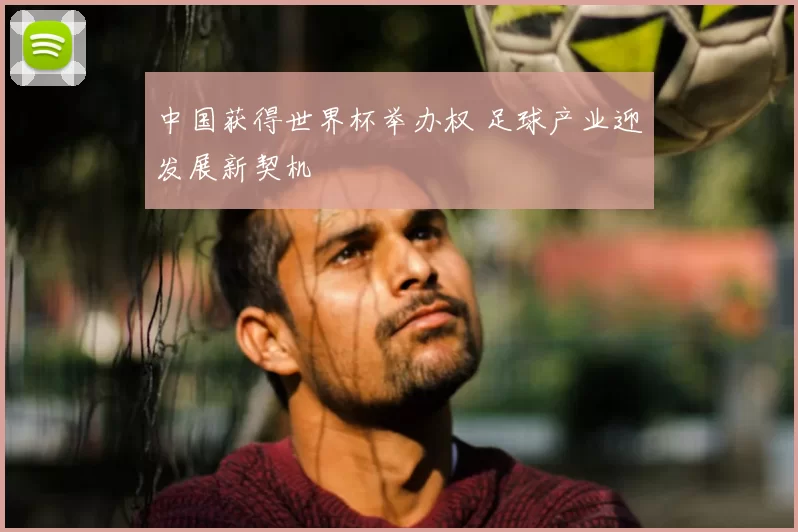 中国获得世界杯举办权 足球产业迎发展新契机