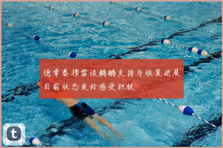 德章泰穆雷谈鹈鹕支持与恢复进展目前状态良好感受积极