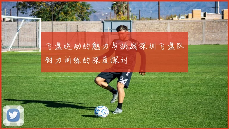 飞盘运动的魅力与挑战深圳飞盘队耐力训练的深度探讨