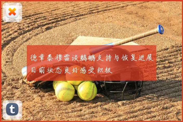 德章泰穆雷谈鹈鹕支持与恢复进展目前状态良好感受积极