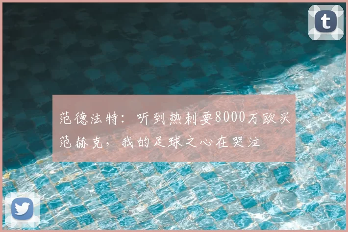 范德法特：听到热刺要8000万欧买范赫克，我的足球之心在哭泣