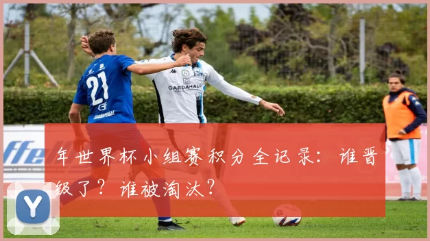 年世界杯小组赛积分全记录：谁晋级了？谁被淘汰？