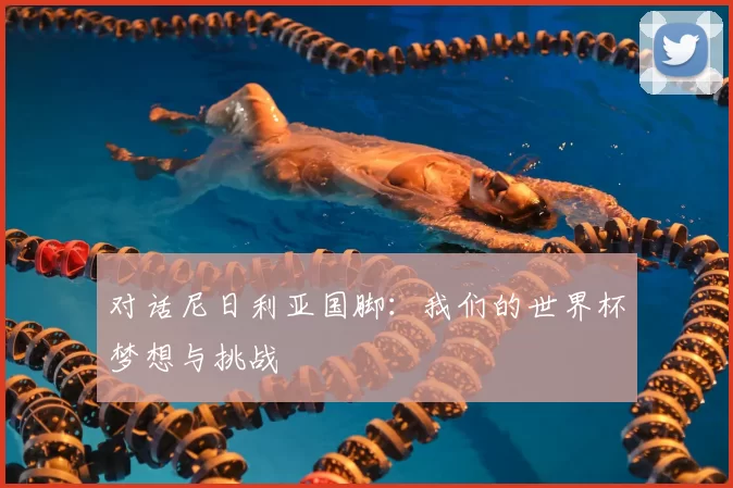 对话尼日利亚国脚：我们的世界杯梦想与挑战