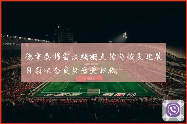 德章泰穆雷谈鹈鹕支持与恢复进展目前状态良好感受积极