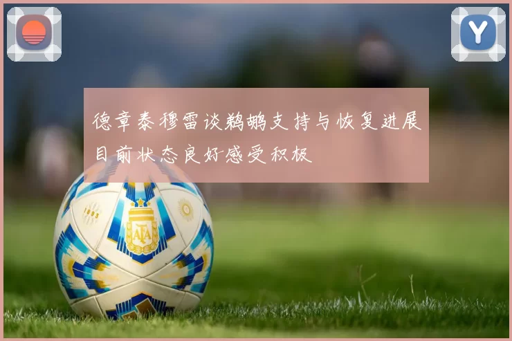 德章泰穆雷谈鹈鹕支持与恢复进展目前状态良好感受积极