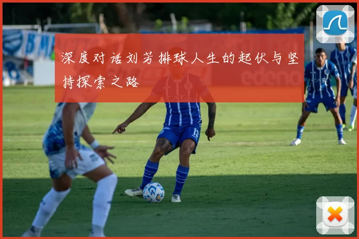 深度对话刘芳排球人生的起伏与坚持探索之路