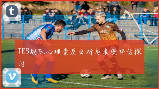 TES战队心理素质分析与表现评估探讨