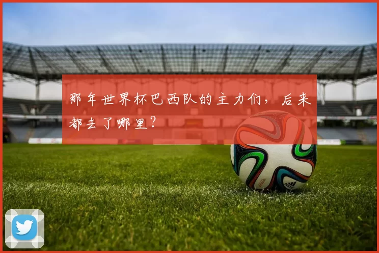 那年世界杯巴西队的主力们,后来都去了哪里?